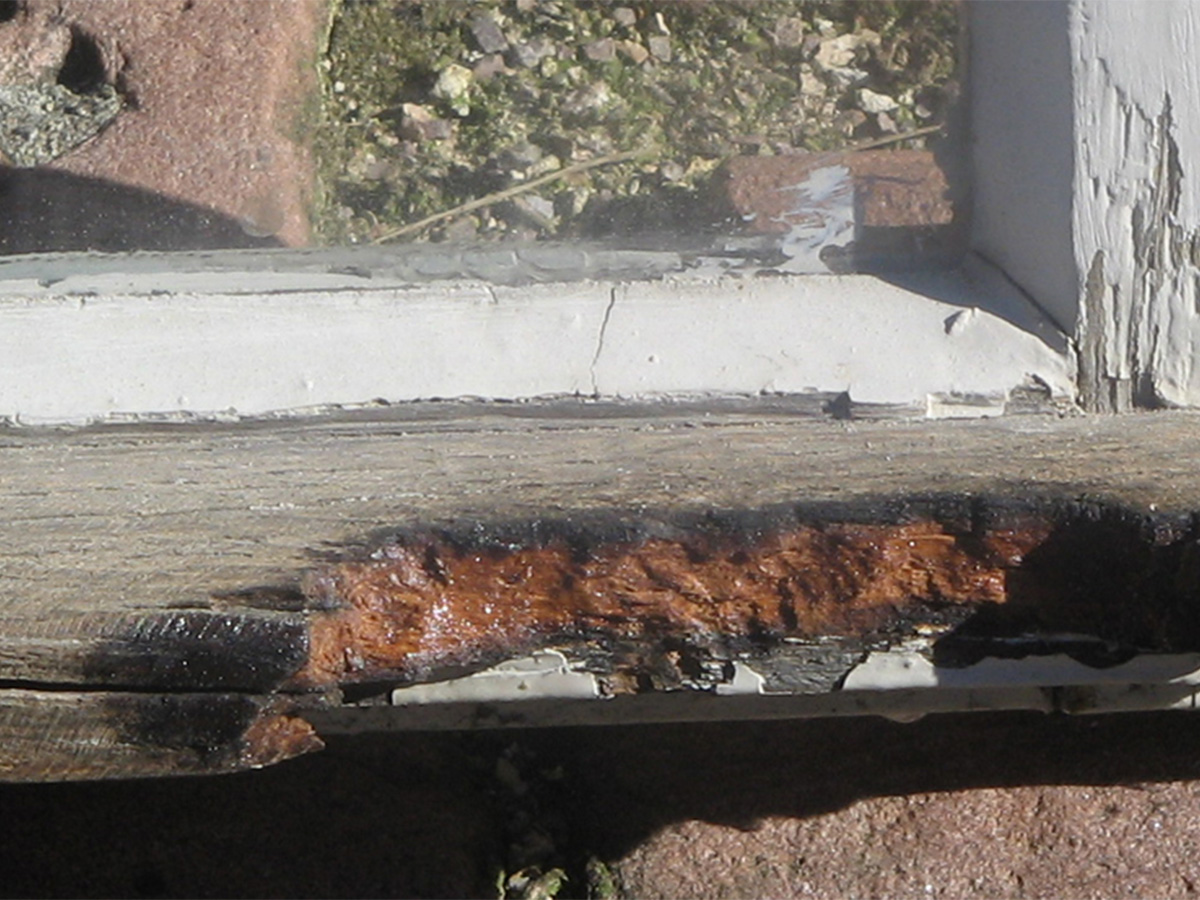 Fenstersanierung durch Maler Eck in Heidelberg: Detailaufnahme beschädigtes Holz vor Reparatur.